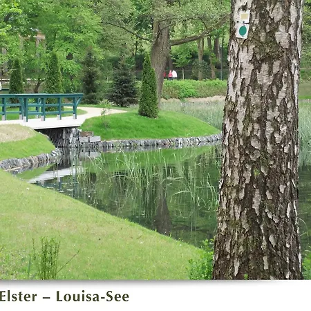 Belasarte Bad Elster